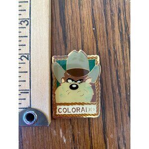 Vintage 1995 Colorado Taz Tasmanian Devil Cowboy Hat Souvenir Magnet By Warner B